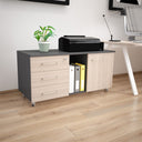 Cassettiera ufficio 3 cassetti e 1 anta struttura antracite con chiusura chiave primo cassetto e 2 vani a giorno +6 COLORAZIONI - doomostore