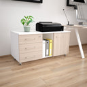 Cassettiera ufficio 3 cassetti e 1 anta struttura bianco con chiusura chiave primo cassetto e 2 vani a giorno +6 COLORAZIONI - doomostore