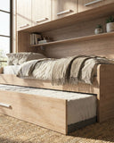 Cameretta a ponte Edera, l 205cm h.230, in 36 colori, possibilità di acquistare solo armadio a ponte - doomostore