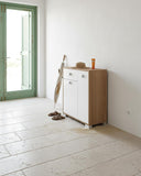 Mobile contenitore Neli - Mobile multiuso 2 ante e 1 cassetto - Struttura virginia e anta bianca - Ripiano regolabile incluso - 46x35x80 cm - doomostore