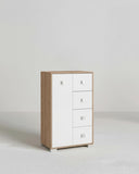 Mobile contenitore Fiore - Mobile multiuso 1 anta e 4 cassetti - Struttura virginia e anta bianca - 2 ripiani regolabile incluso - 75x112x45 cm - doomostore