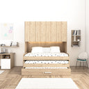 Cameretta a ponte Diletta - Armadio a ponte salvaspazio - 4 ante - 7 varianti colore personalizzabili - Letto estraibile opzionale - 205 L. x 230 H. x 52 P. - doomostore